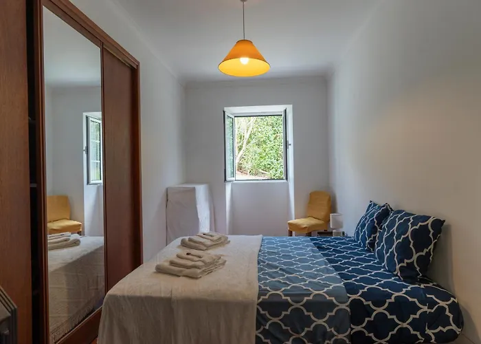 The Family House * 奥尔塔