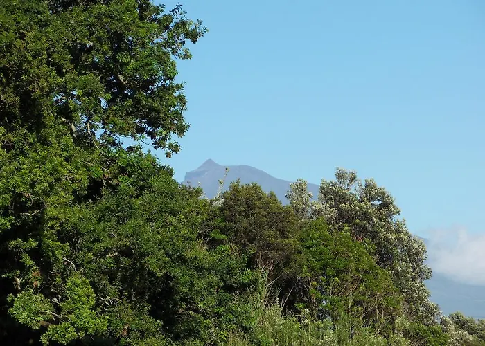 The Family House 度假居 *