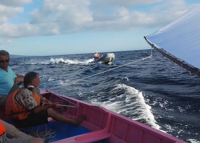 度假居 The Family House